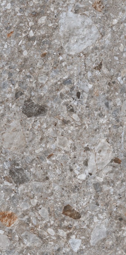 FOSSIL GRUS 600 x1200 Матовый Керамогранит FOSSIL GRUS 600 x1200 Матовый Керамогранит