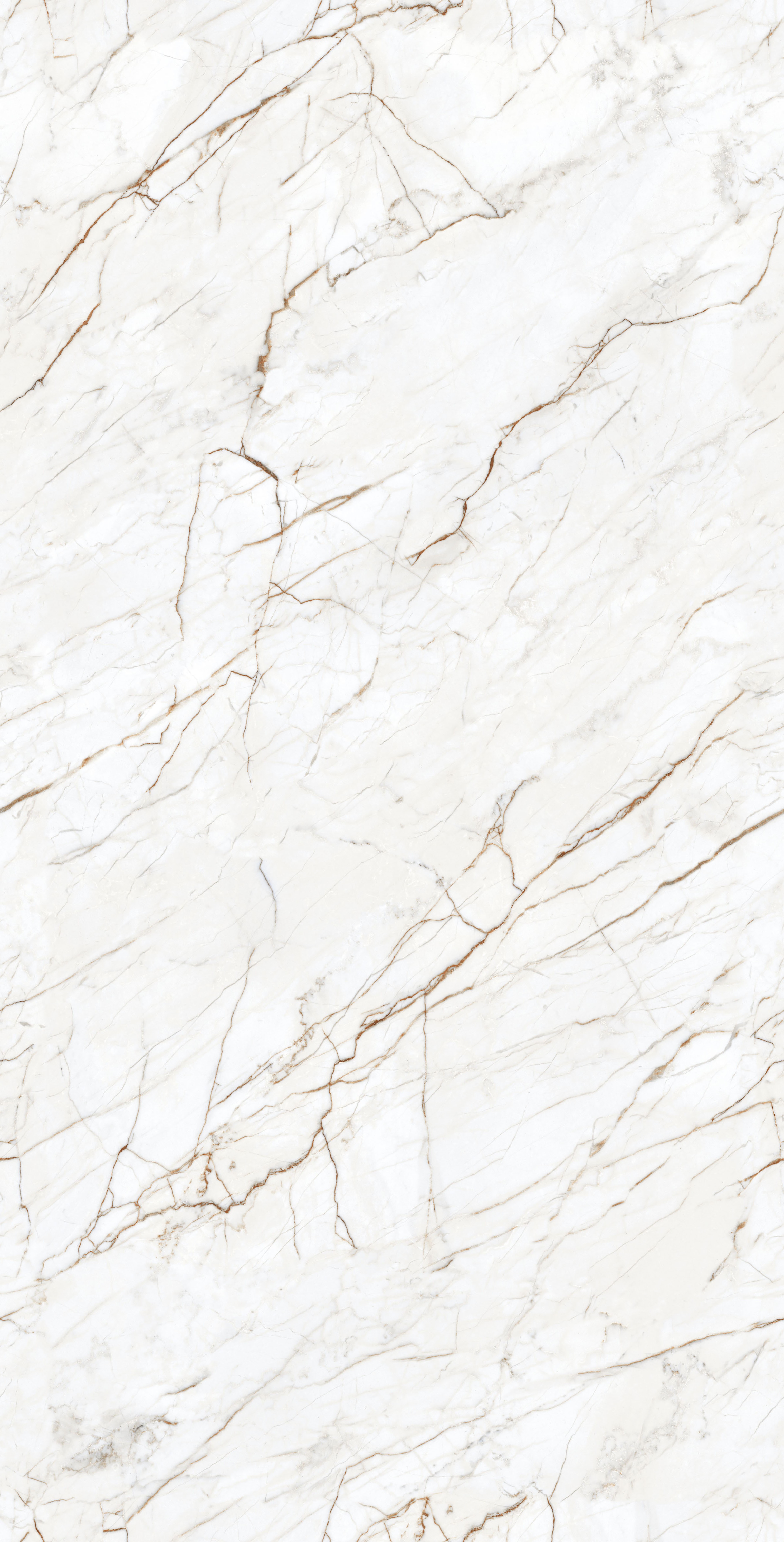 Blanco Statuario 600 x1200 Mатовый Керамогранит