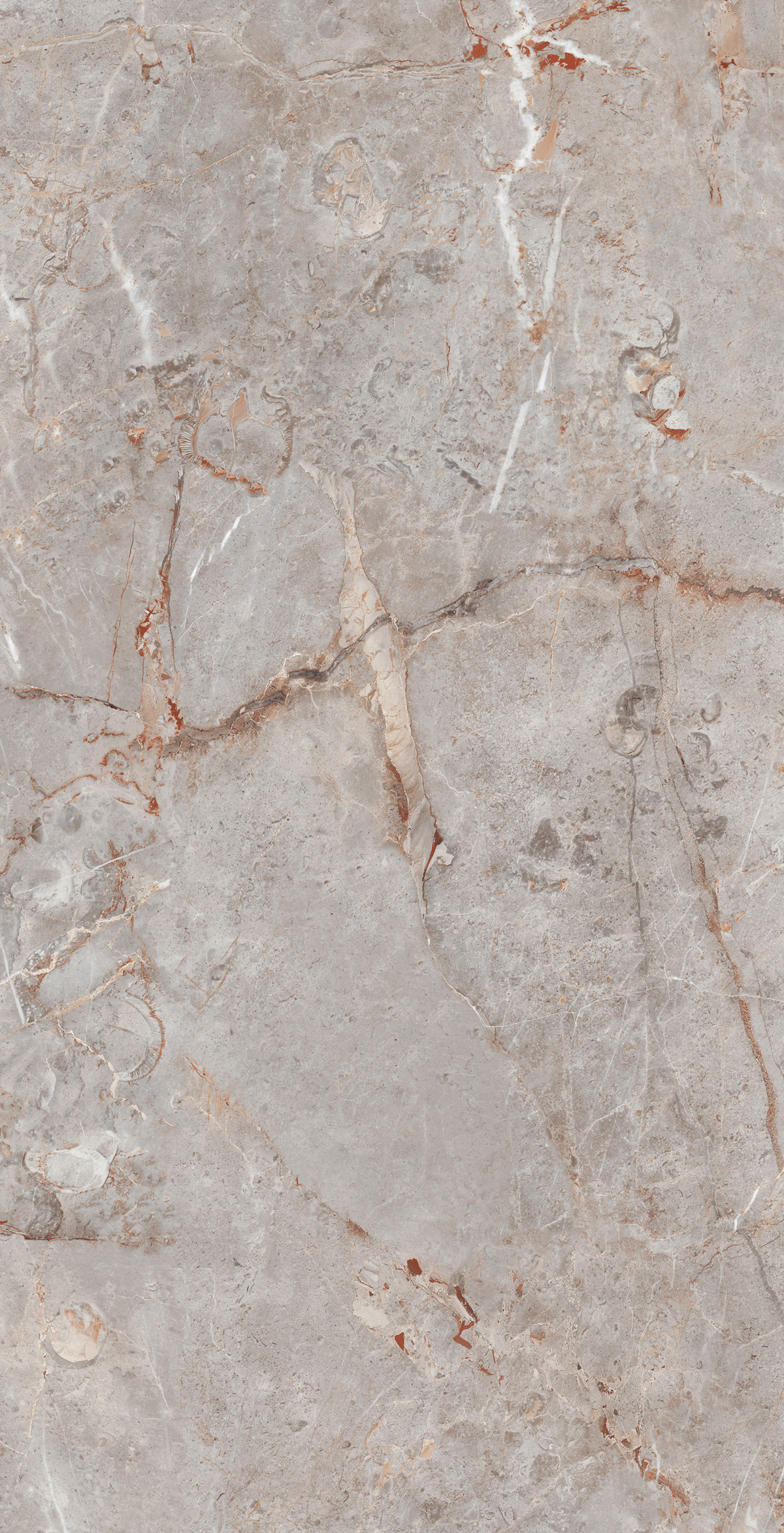 Saran Collins 600 x 1200  Матовый с эффектом прожилок в камне Керамогранит