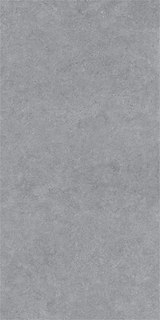 Forever Gris 600 x1200 Матовый Керамогранит