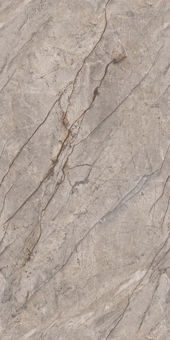 SILVER ROOT GREY   600 x1200 Матовый Керамогранит