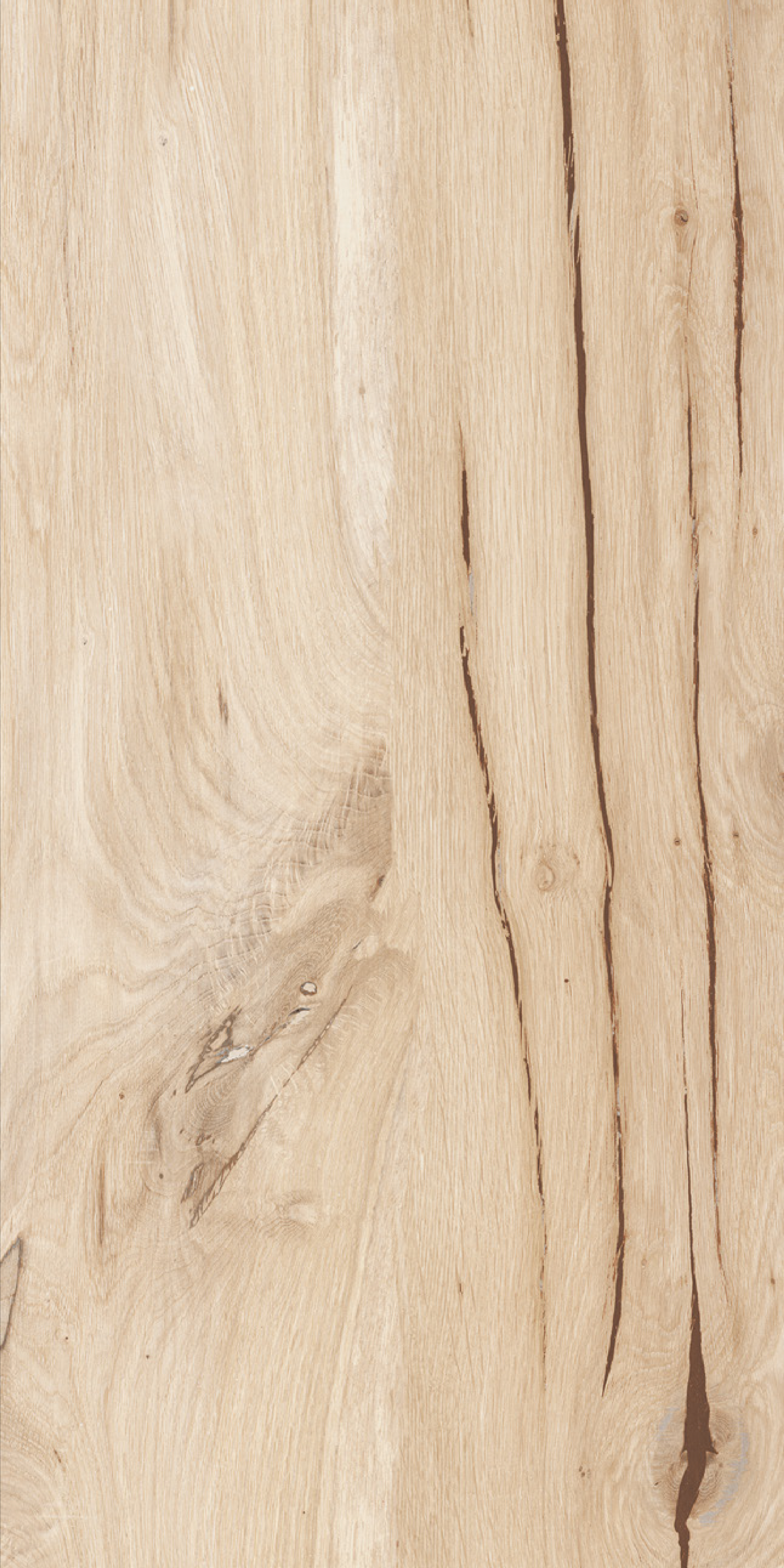 cedar wood beige 600 x1200 Матовый Керамогранит