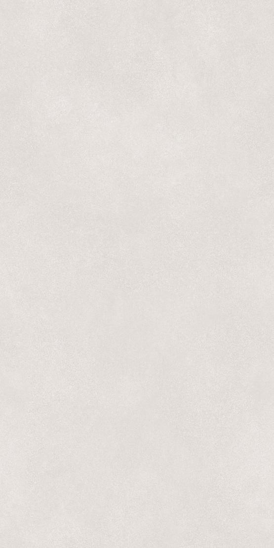 VIENA MIST 600 x1200 Матовый Керамогранит