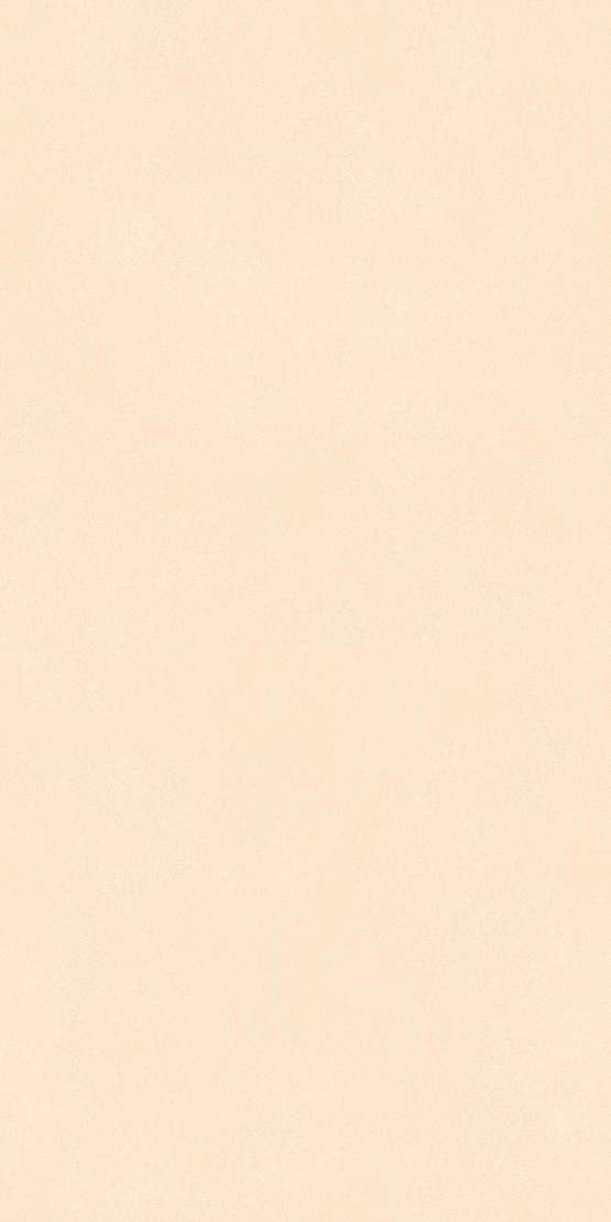 VIENA BEIGE 600 x1200 Матовый Керамогранит