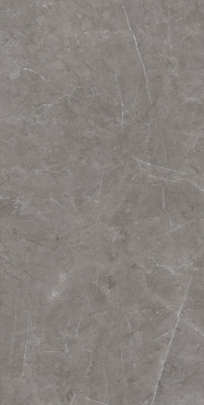 PERLINO GRIGIO 600 x1200 Матовый с эффектом прожилок в камне Керамогранит