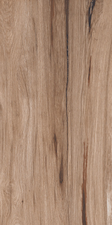 Cedar wood brown 600 x1200 Матовый Керамогранит