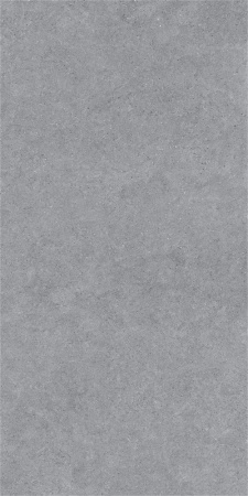 Forever Gris 600 x1200 Матовый Керамогранит 